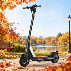 NIU KQi1 Sport Electric Kick Scooter | Range 25km (EU version)