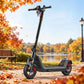 NIU KQi 300X Elektrotretroller mit Aufhängung | Reichweite 60km