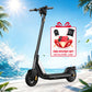 NIU KQi1 Sport Elektrotretroller | Reichweite 25km